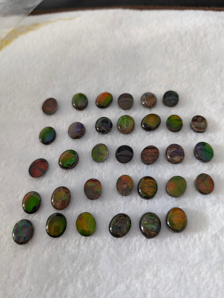 Oval Ammolite gemstone size 10X12mm natural and genuine : E00bundle16b