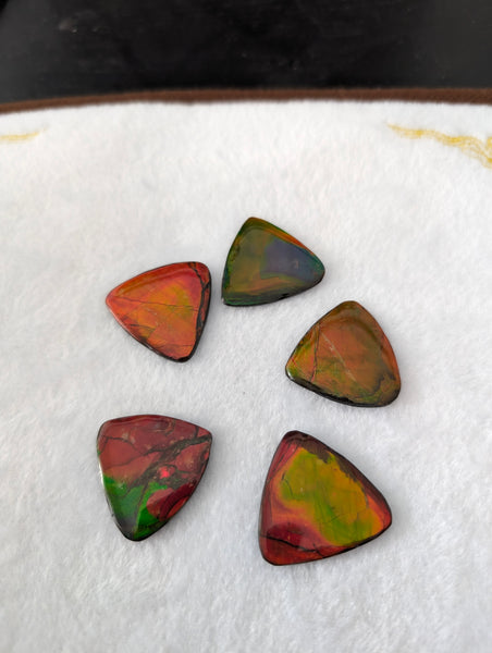 Ammolite 30mm Trillion Gemstone Bundle PN E00bundle63