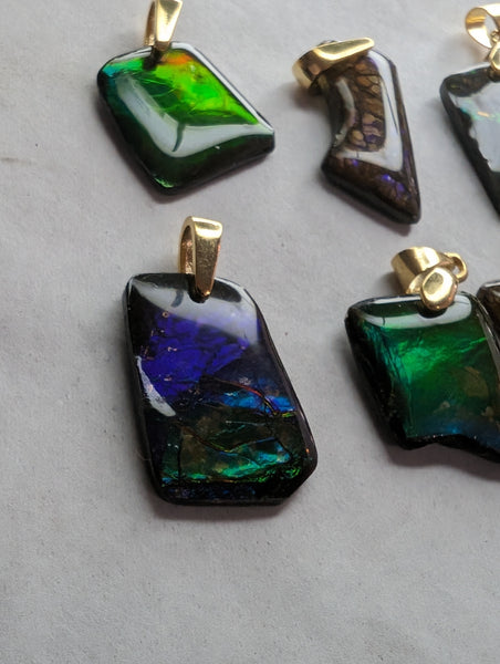 Ammolite Freeform Bundle with Gold Plated Bail: E00Bundle60