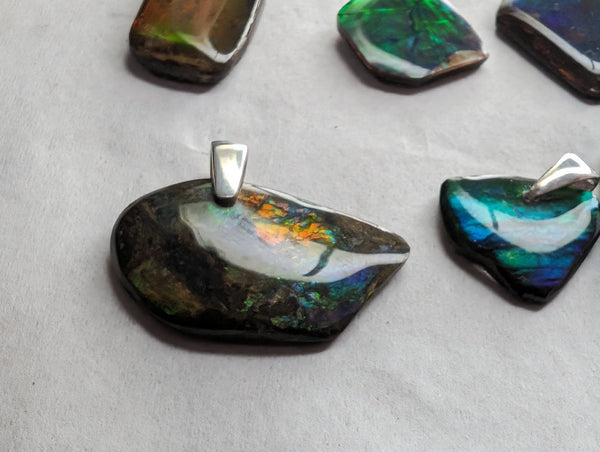 Ammolite Freeform Bundle with Silver Bail: E00Bundle61