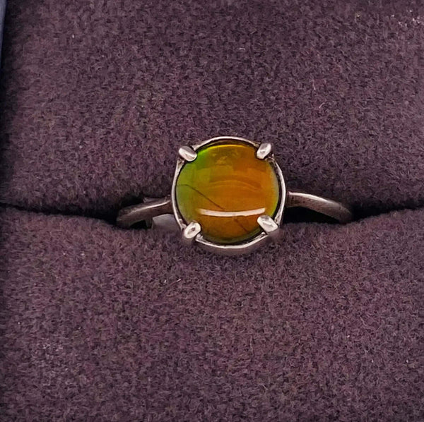 Ammolite 8mm Sterling Silver Ring PN E20112