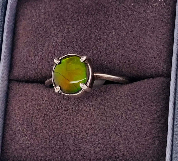 Ammolite 8mm Sterling Silver Ring PN E20112