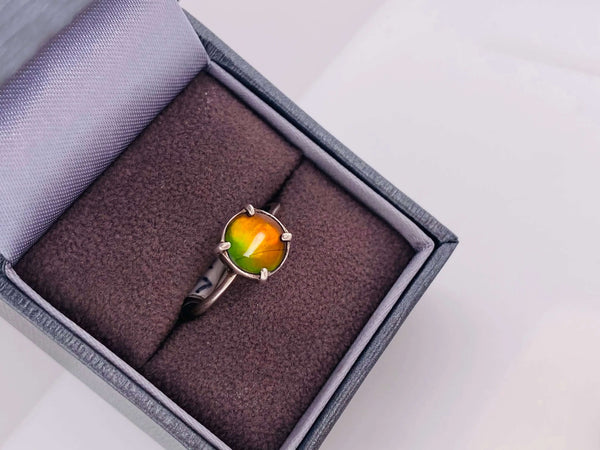 Ammolite 8mm Sterling Silver Ring PN E20112