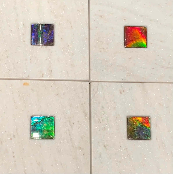 Ammolite Coaster with Ammolite Gemstone PN: E150111 %product from Empire Ammolite