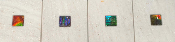 Ammolite Coaster with Ammolite Gemstone PN: E150111 %product from Empire Ammolite