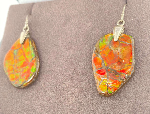 Ammolite Freeform Earrings set in SLV PN E20774