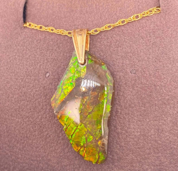 Ammolite Freeform Pendant that is 27x15mm Right View PN E134S