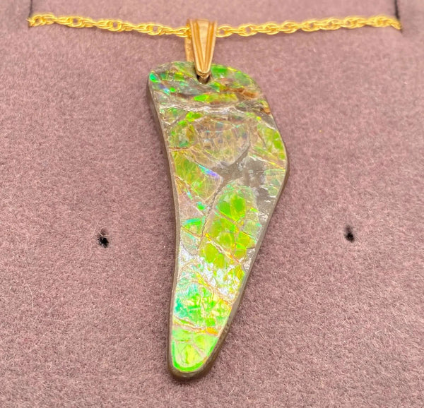 Ammolite Freeform Pendant that is 38x14mm PN E134C