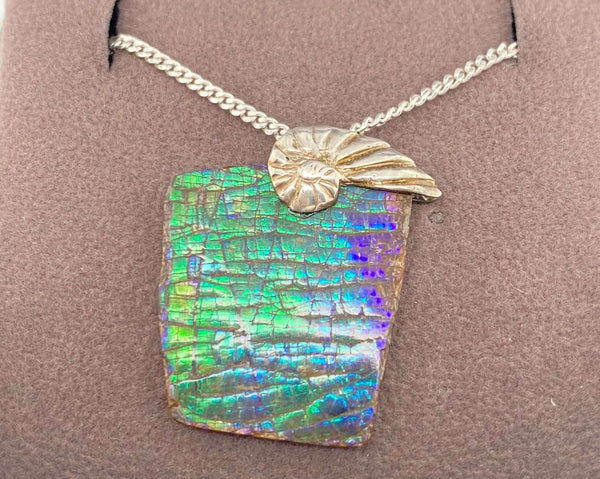 Ammolite Freeform and Sterling Silver Bail 23x20mm PN E134I