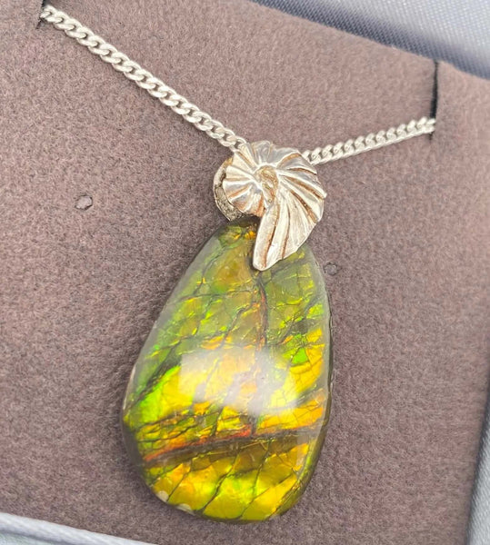 Ammolite Freeform and Sterling Silver Bail 25x19mm Left View PN E20272