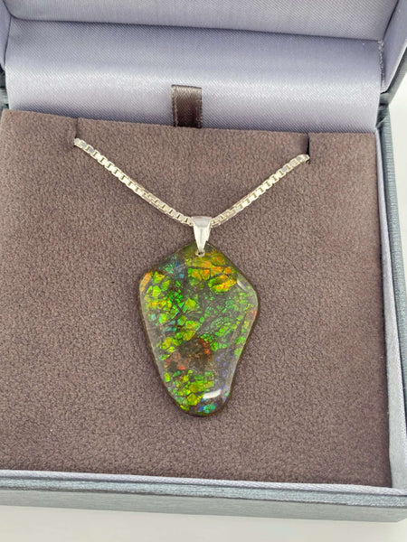 Ammolite Freeform with Yellow, Blue and Green colors PN E21341
