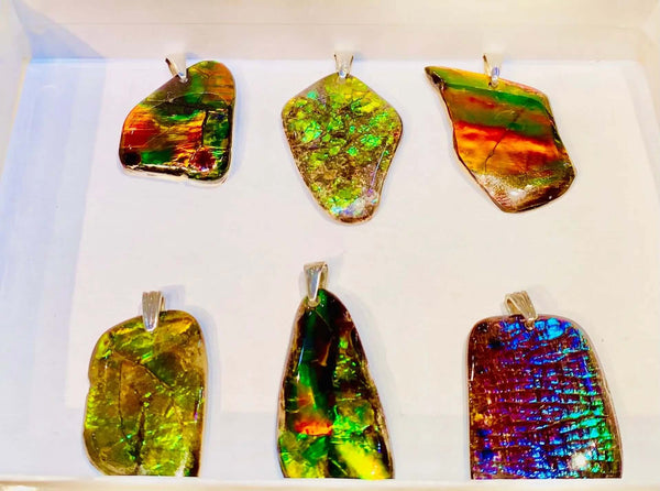Ammolite Silver Freeform demonstrating all the Six pieces PN E21341