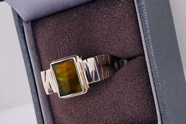 Ammolite Men's Unisex Ring in Silver Right View PN E20822