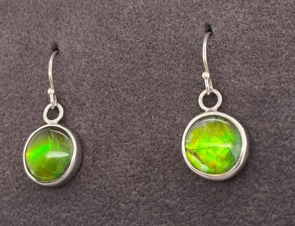 Ammolite Round Dangle Earrings set in Silver PN E10631 %product from Empire Ammolite