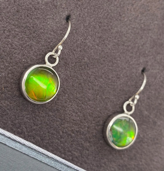 Ammolite Round Dangle Earrings set in Silver PN E10631 %product from Empire Ammolite