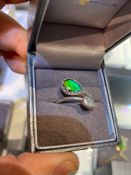 Ammolite Silver Ring in a Split Setting PN AZ013 %product from Empire Ammolite