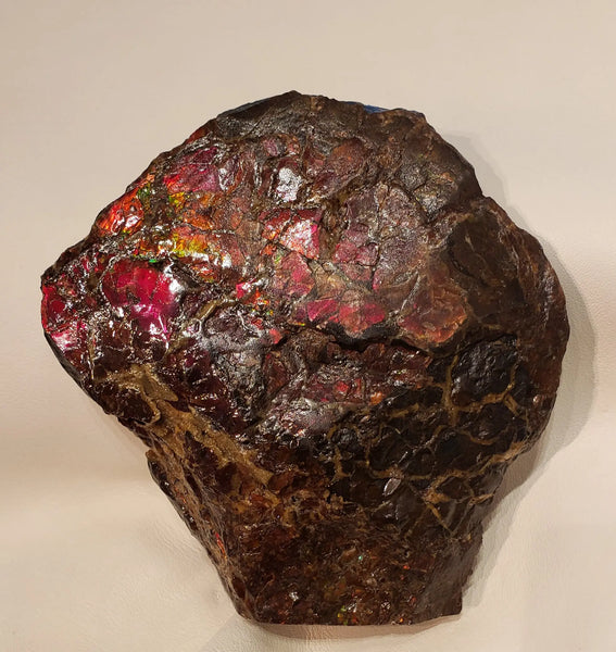 Ammonite Art Piece 110X130mm PN E1125-4