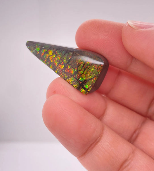 Ammonite Art Piece 13x32mm Left View PN E170-47