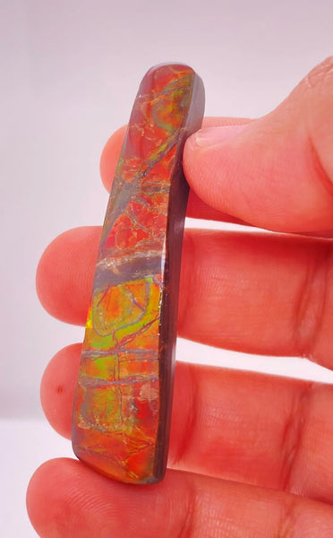 Ammonite Art Piece 13x57mm Right View PN E170-32