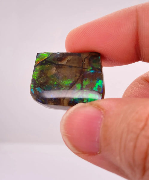 Ammonite Art Piece 17x21mm Right View PN E170-46