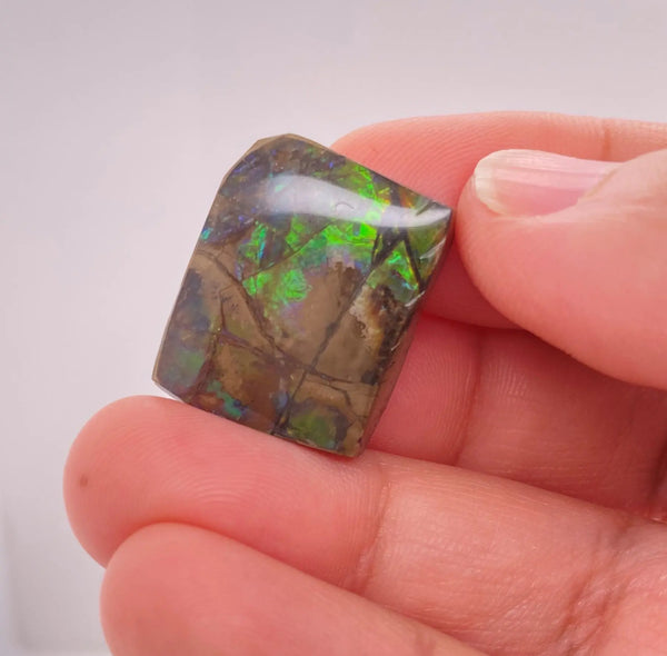 Ammonite Art Piece 17x21mm Left View PN E170-46