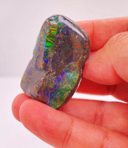 Ammonite Art Piece 20x5mm Right View PN E150W