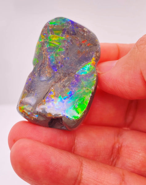 Ammonite Art Piece 20x5mm Left View PN E150W