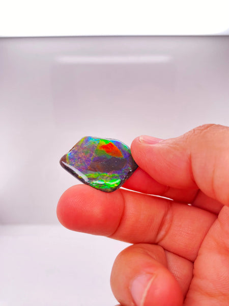 Ammonite Art Piece 25x30mm PN E1376