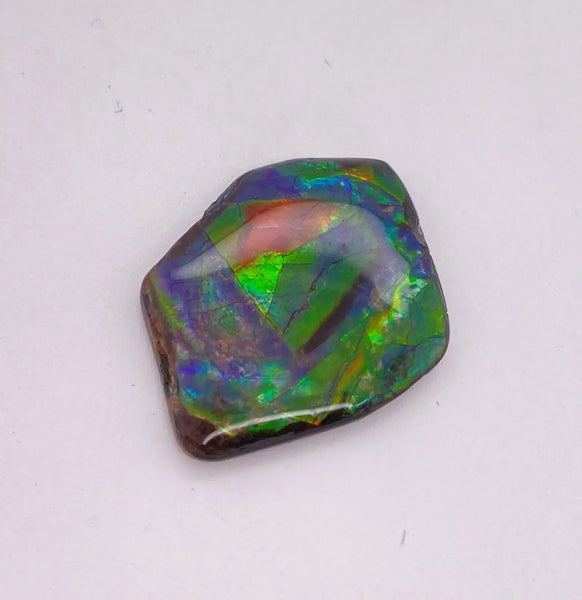 Ammonite Art Piece 25x30mm Right View PN E1376