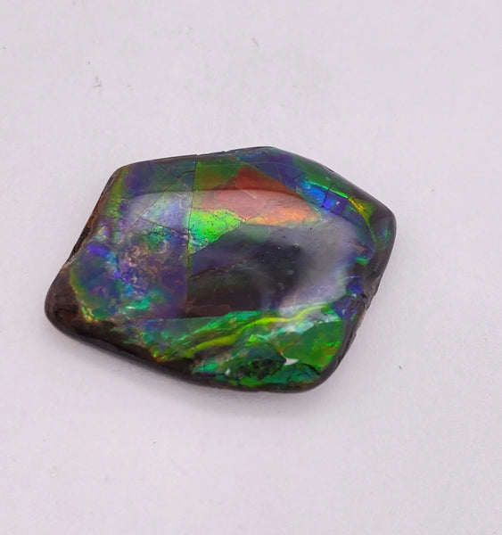 Ammonite Art Piece 25x30mm Left View PN E1376