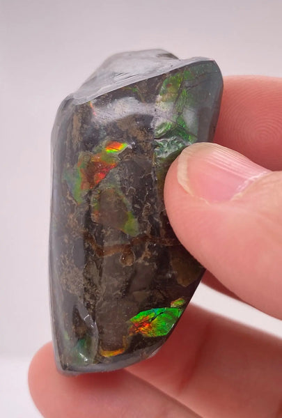 Ammonite Art Piece 29x46mm Right View PN E170-43