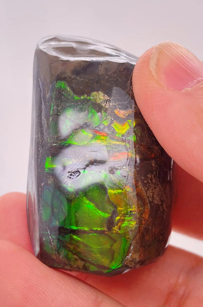 Ammonite Art Piece 29x46mm PN E170-43