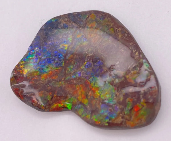 Ammonite Art Piece 30x35mm Right View PN E1384