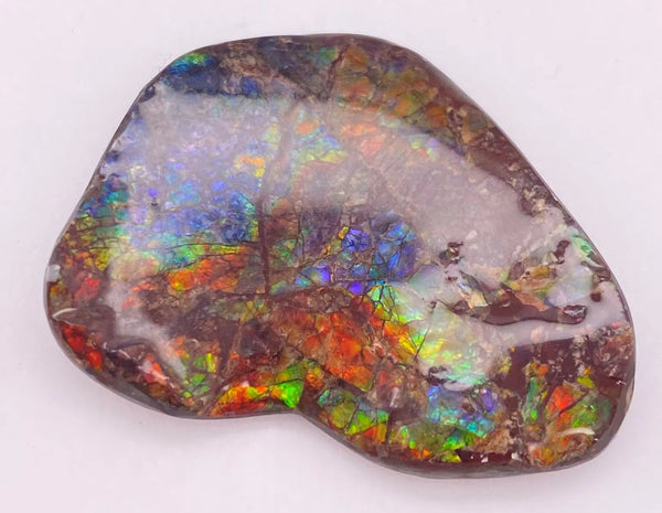 Ammonite Art Piece 30x35mm Front View PN E1384