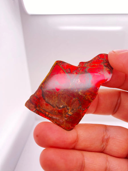 Ammonite Art Piece 30x50mm PN E170-35