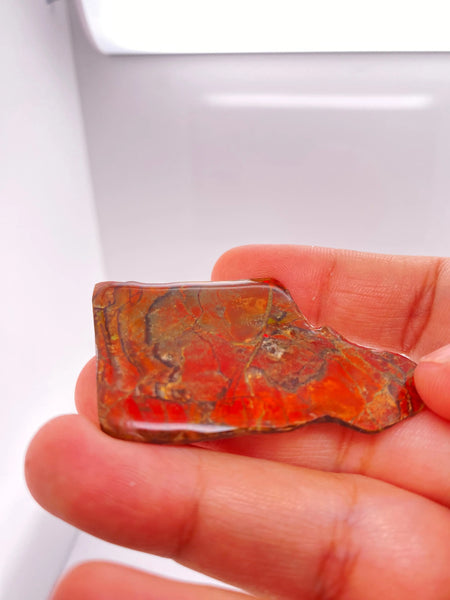 Ammonite Art Piece 30x50mm Right View PN E170-35