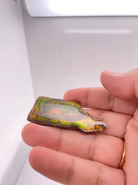 Ammonite Art Piece 30x50mm Imperial Side PN E170-35