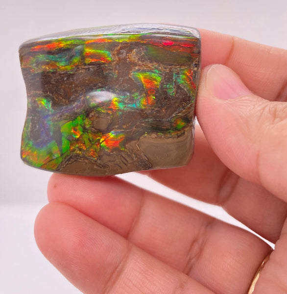 Ammonite Art Piece 35x42mm Right View PN E170-54