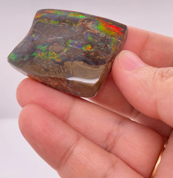 Ammonite Art Piece 35x42mm Imperial Side PN E170-54