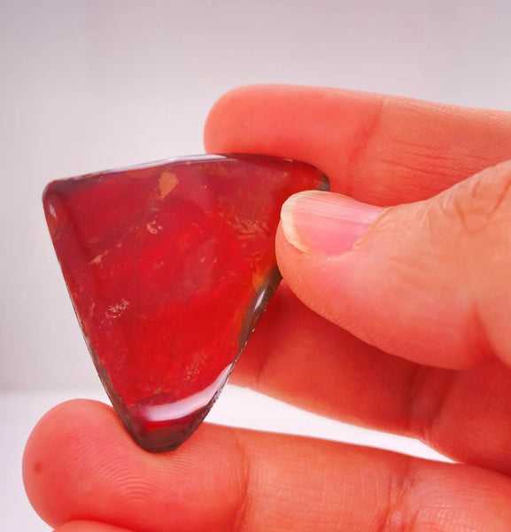 Ammonite Art Piece 37x37mm Right View PN E170-49