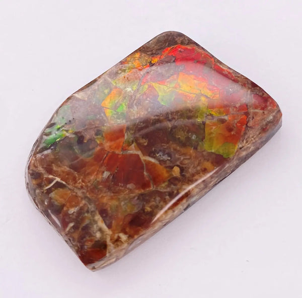 Ammonite Art Piece 38x25mm PN E170-75