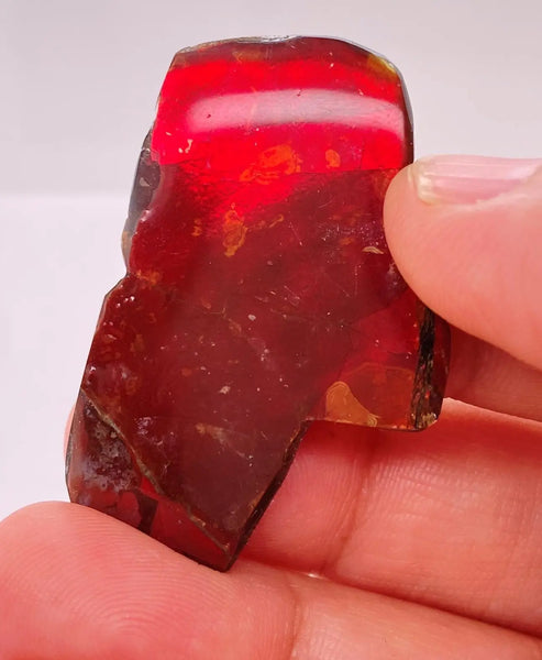 Ammonite Art Piece 39x25mm PN E170-73