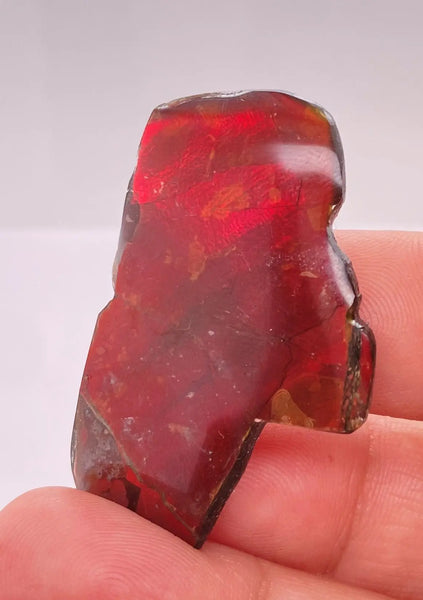 Ammonite Art Piece 39x25mm Right View PN E170-73