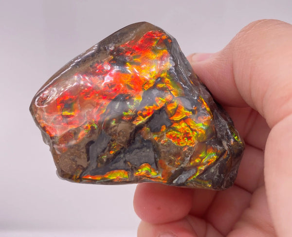 Ammonite Art Piece 39x56mm PN E150-7