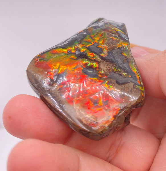 Ammonite Art Piece 39x56mm Right View PN E150-7