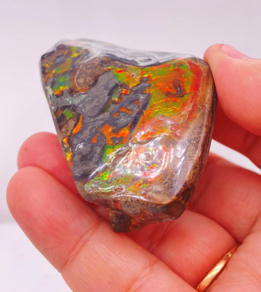 Ammonite Art Piece 39x56mm Left View PN E150-7