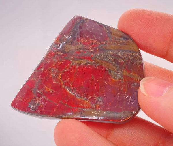 Ammonite Art Piece 41x48mm Left View PN E170-41