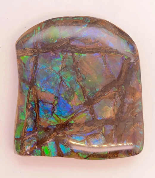 Ammonite Art Piece 42x37mm PN E170-27