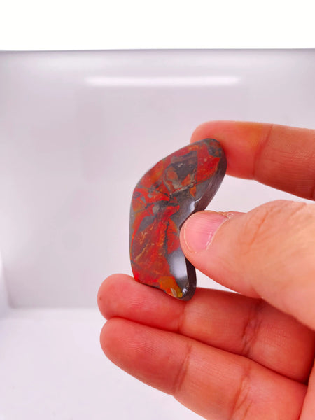 Ammonite Art Piece 43x22mm Right View PN E170-71