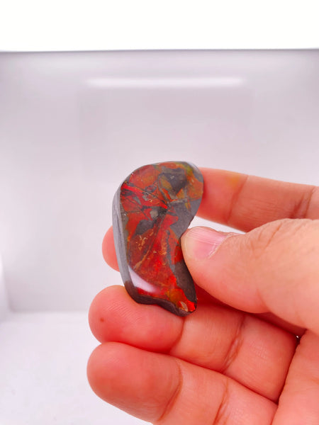 Ammonite Art Piece 43x22mm Left View PN E170-71